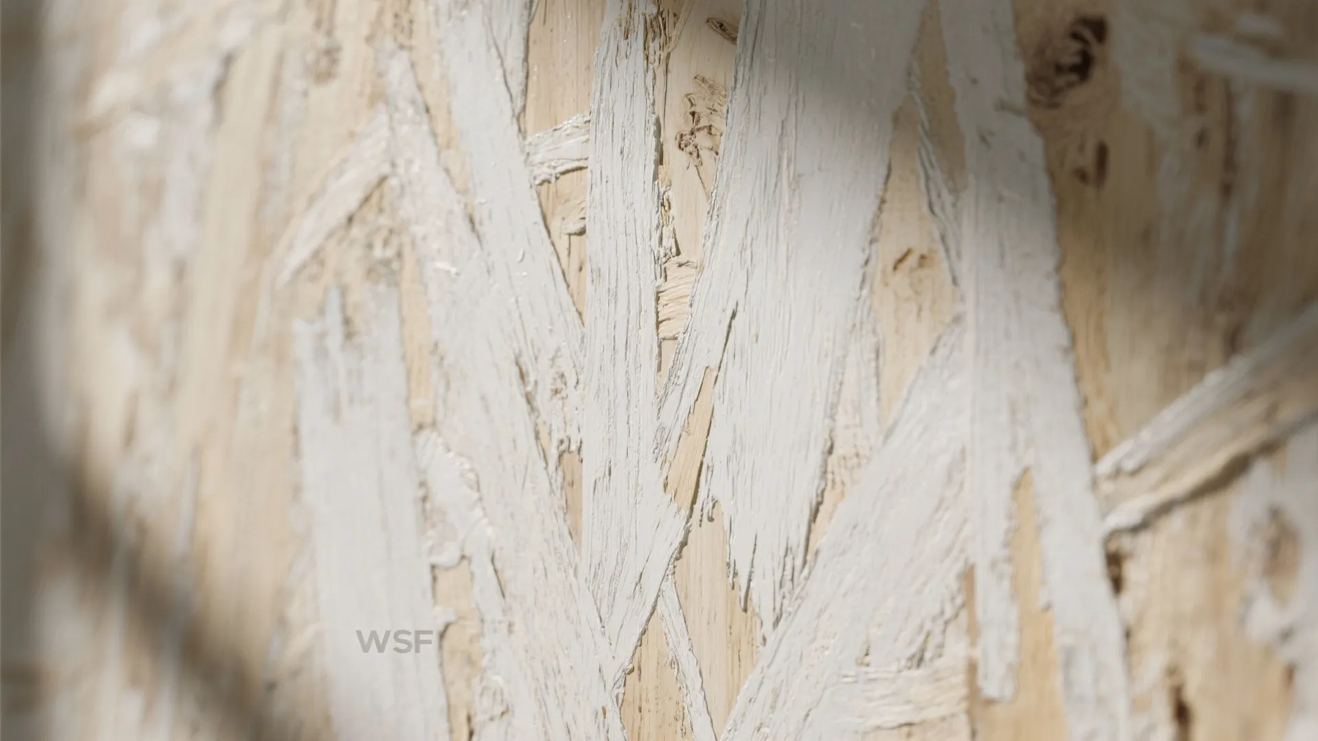 Close up view of textured wood board with white paint showing the natural surface pattern