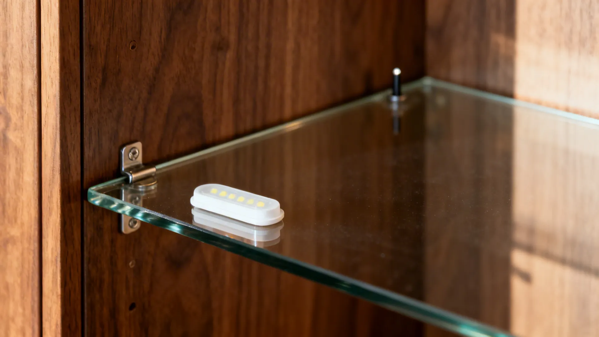 3) Mixed-material: wood case with glass doors and shelves