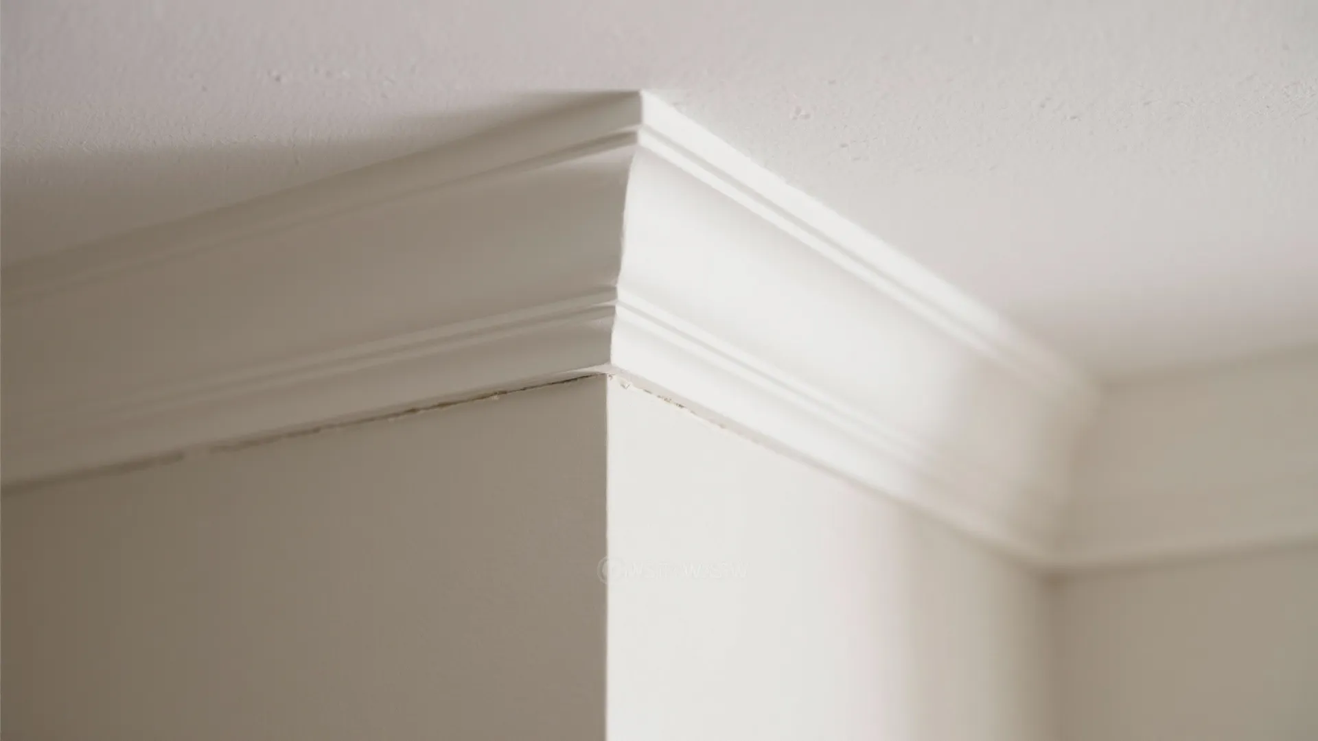 Close-up of coved crown with clean ceiling-to-wall paint wrap and smooth caulk line.