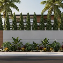 How to Choose the Right Tree for Your Boundary Wall: A Homeowner Decision Guide