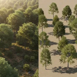 Forest 3D Models vs Individual Tree Models Which Should You Use