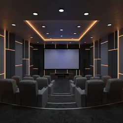 Home Theater Carpet Safety Guide for Fire Allergens and Moisture