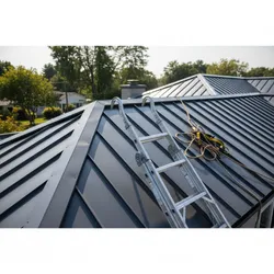 Common Problems When Using Ladder Hooks on Metal Roofs
