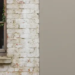 Limewash vs Exterior Paint for Masonry Walls