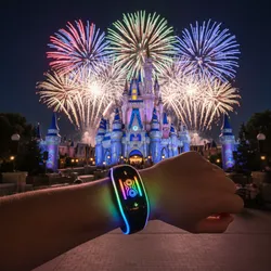 MagicBand Rainbow Lights Meaning: What Each Light Pattern Indicates