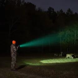 Best Light Colors for Night Deer Hunting: A Practical Decision Guide