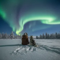 Best Conditions for Watching the Northern Lights With Your Dog