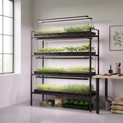 How to Prevent Grow Light Damage to Seedlings