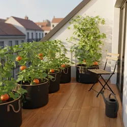 Best Containers for Growing Pumpkins in Small Spaces