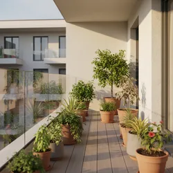Why Plants Die on Second-Floor Balconies (And How to Fix It)