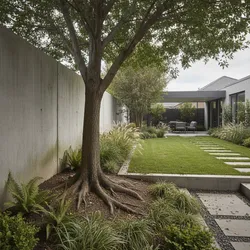 Common Problems When Planting Trees Near Boundary Walls And How to Fix Them