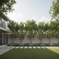 Optimal Tree Spacing Along Boundary Walls for Small and Large Plots